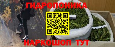 шишки Жуковский