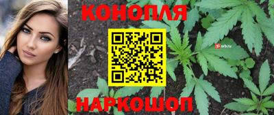 шишки Жуковский