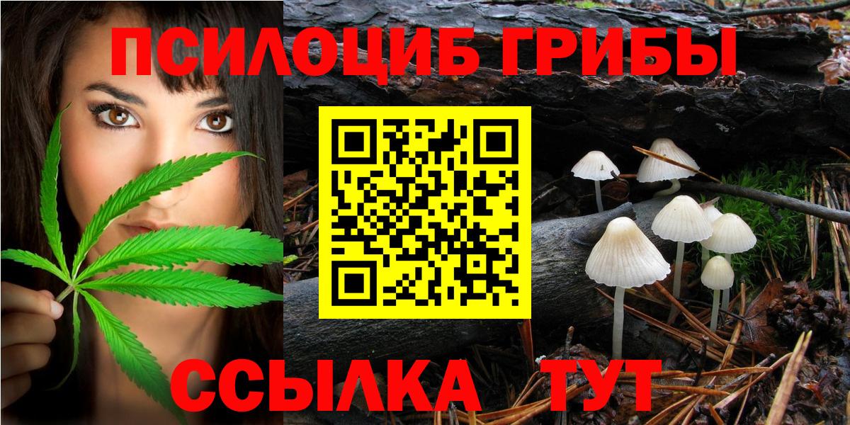 Псилоцибиновые грибы Magic Shrooms Люберцы